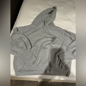 Express Grey Sparkle Hoodie